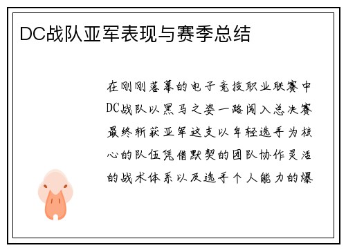 DC战队亚军表现与赛季总结