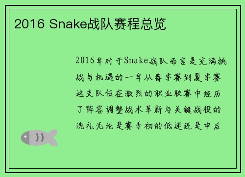2016 Snake战队赛程总览